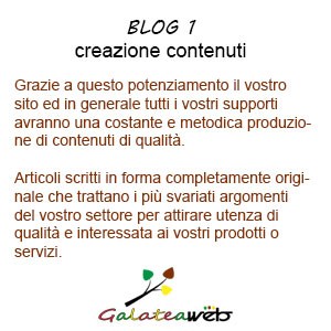 blog1