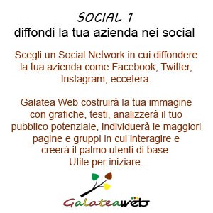 social1b